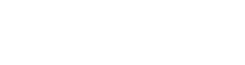Team Viewer 11
